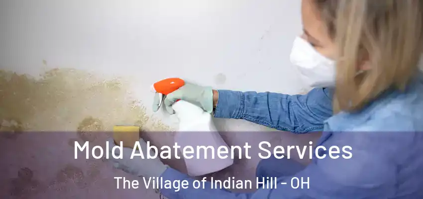 Mold Abatement Services The Village of Indian Hill - OH