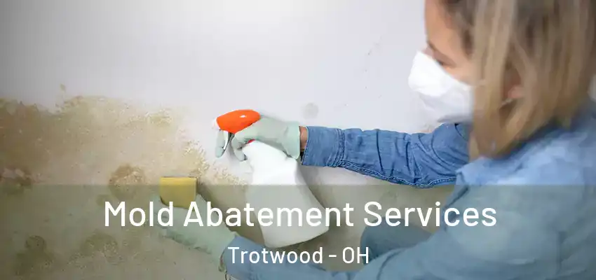  Mold Abatement Services Trotwood - OH