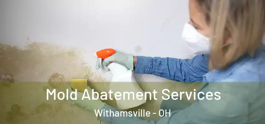  Mold Abatement Services Withamsville - OH