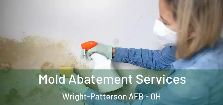 Mold Abatement Services Wright-Patterson AFB - OH