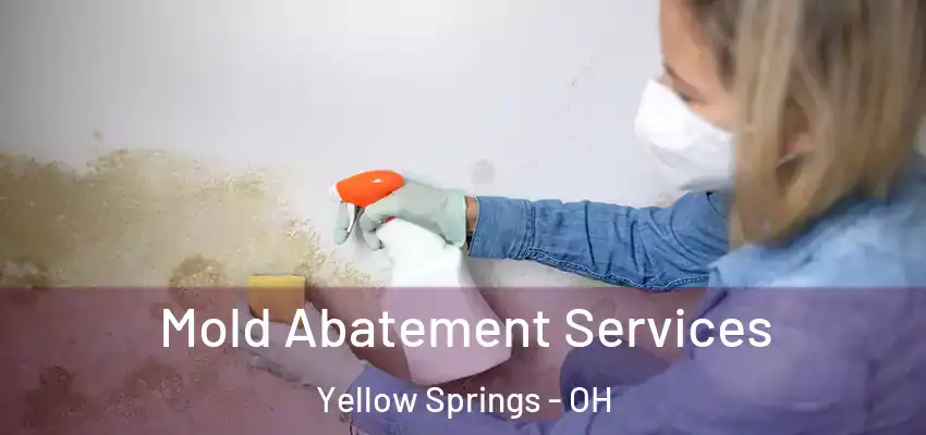 Mold Abatement Services Yellow Springs - OH