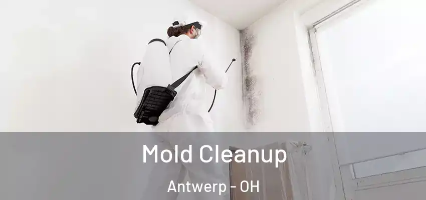 Mold Cleanup Antwerp - OH