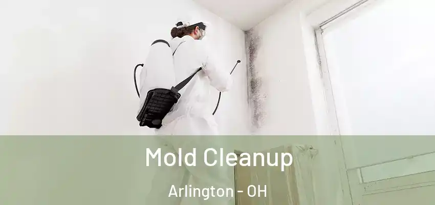 Mold Cleanup Arlington - OH