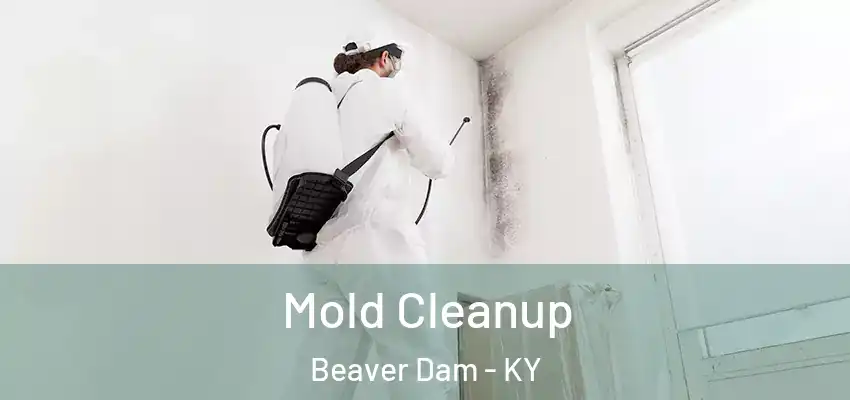 Mold Cleanup Beaver Dam - KY