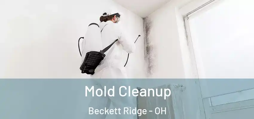 Mold Cleanup Beckett Ridge - OH