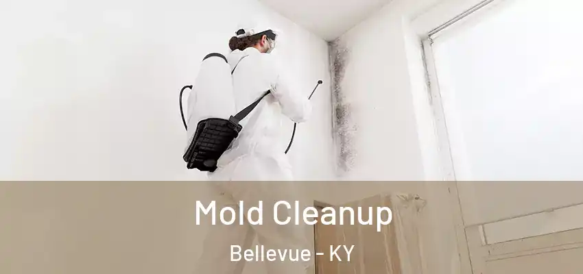 Mold Cleanup Bellevue - KY