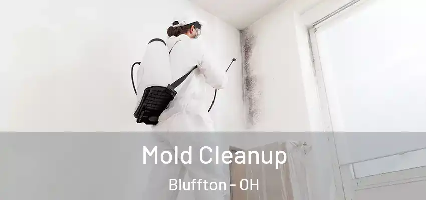  Mold Cleanup Bluffton - OH