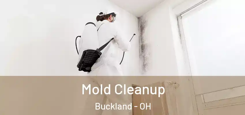 Mold Cleanup Buckland - OH