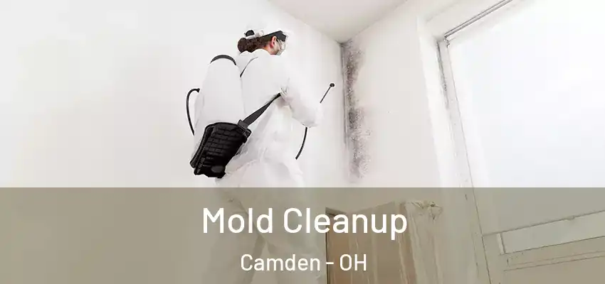 Mold Cleanup Camden - OH