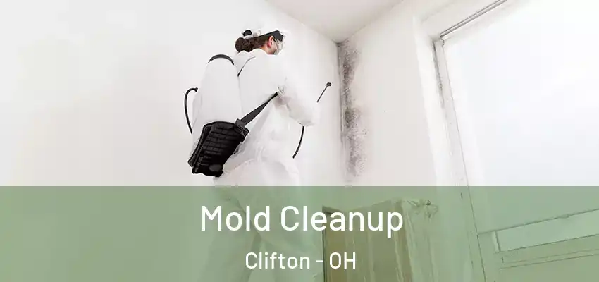 Mold Cleanup Clifton - OH