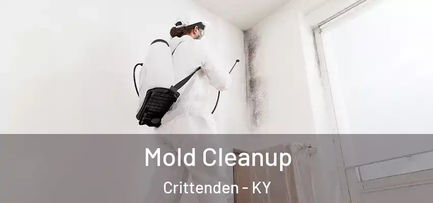 Mold Cleanup Crittenden - KY