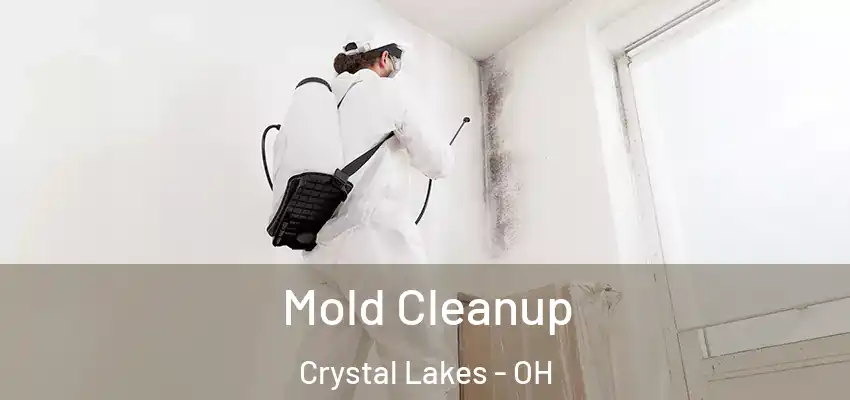 Mold Cleanup Crystal Lakes - OH