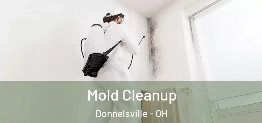 Mold Cleanup Donnelsville - OH