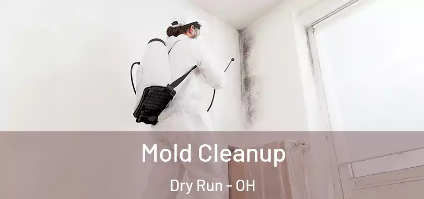 Mold Cleanup Dry Run - OH