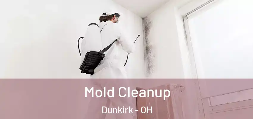 Mold Cleanup Dunkirk - OH