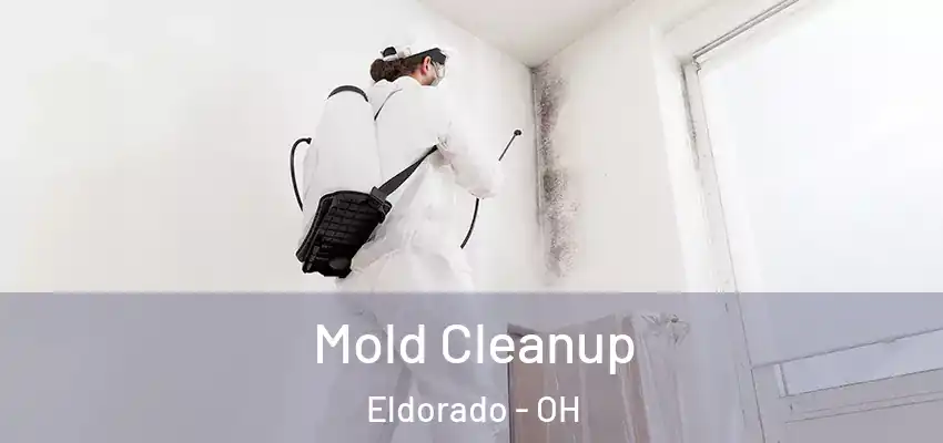 Mold Cleanup Eldorado - OH