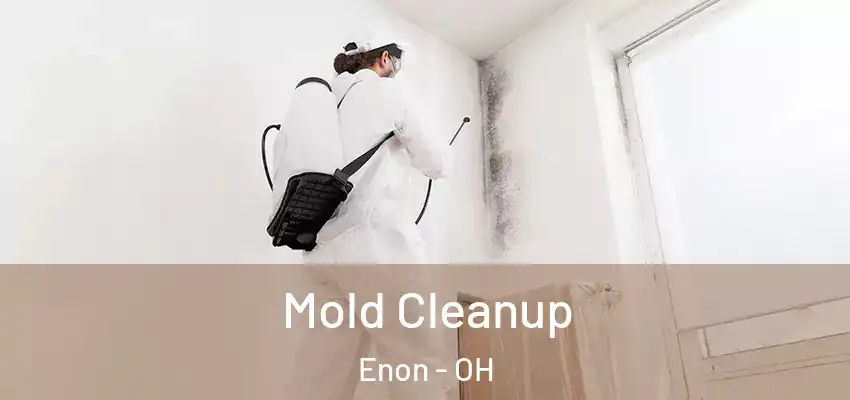 Mold Cleanup Enon - OH