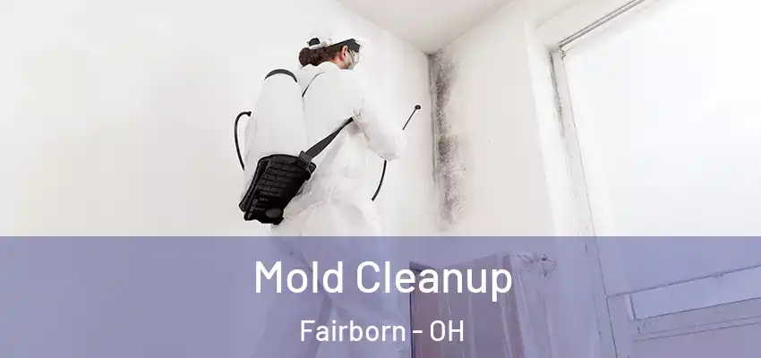 Mold Cleanup Fairborn - OH