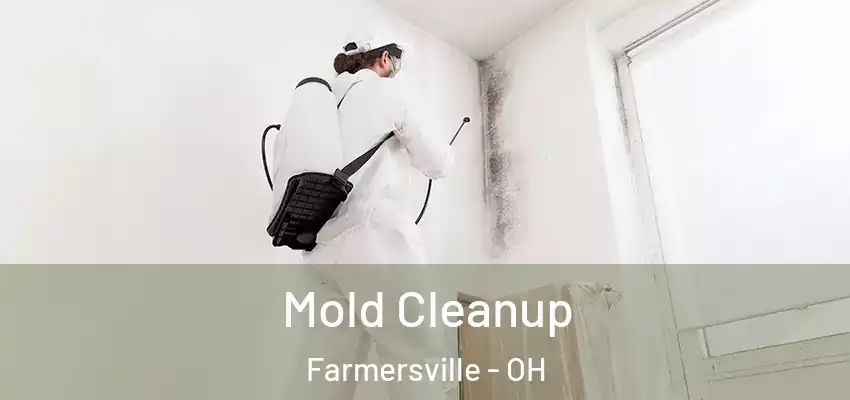 Mold Cleanup Farmersville - OH