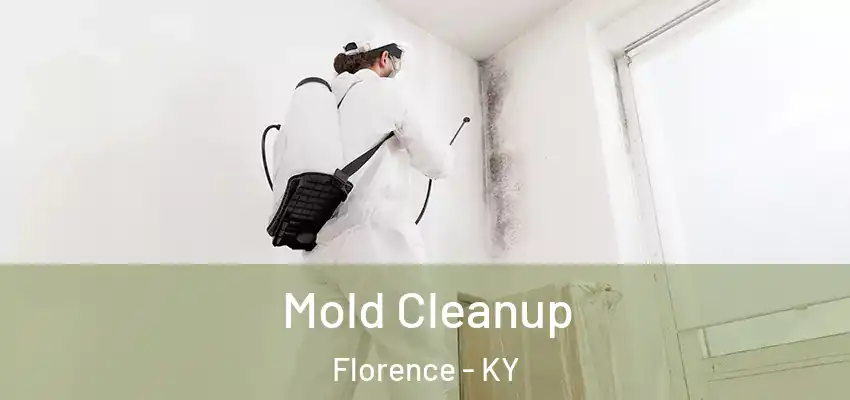  Mold Cleanup Florence - KY