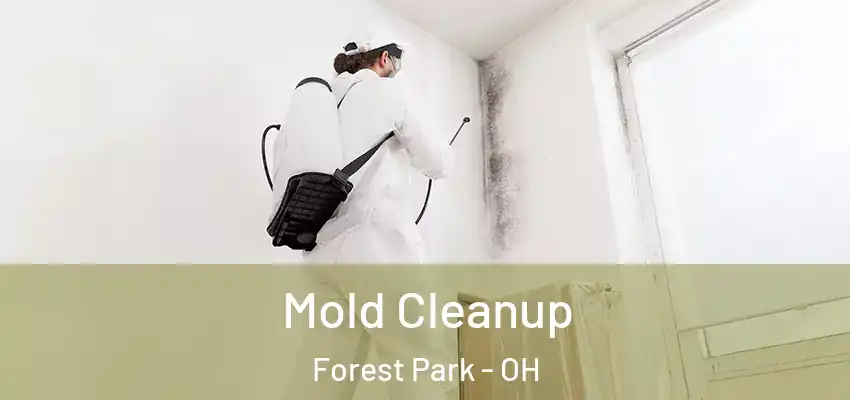 Mold Cleanup Forest Park - OH