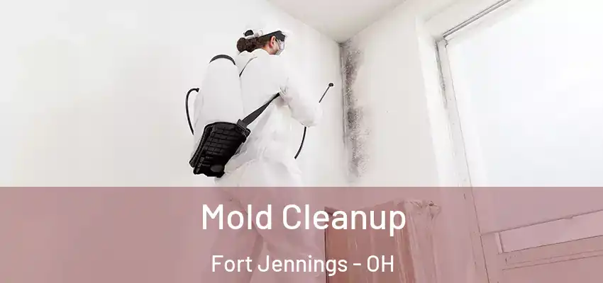 Mold Cleanup Fort Jennings - OH