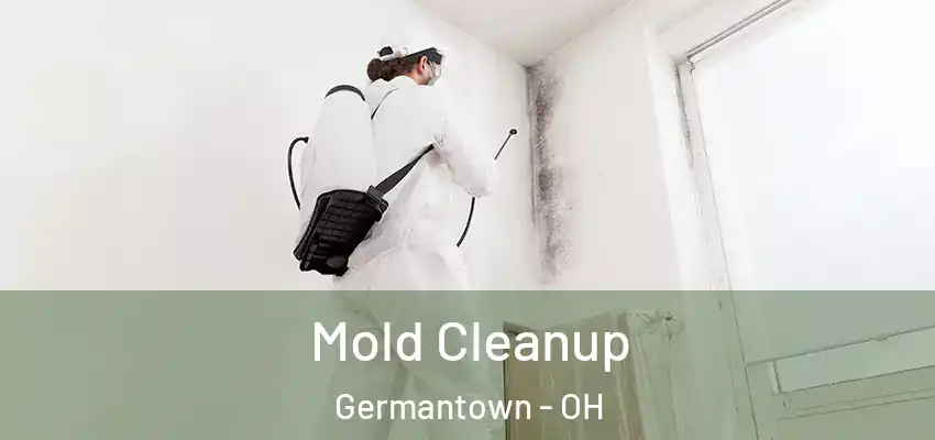  Mold Cleanup Germantown - OH