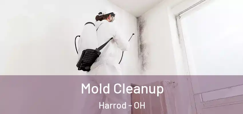 Mold Cleanup Harrod - OH