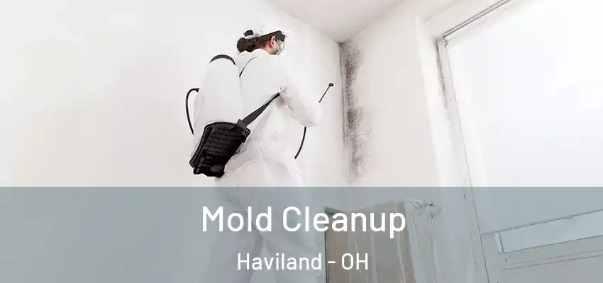  Mold Cleanup Haviland - OH
