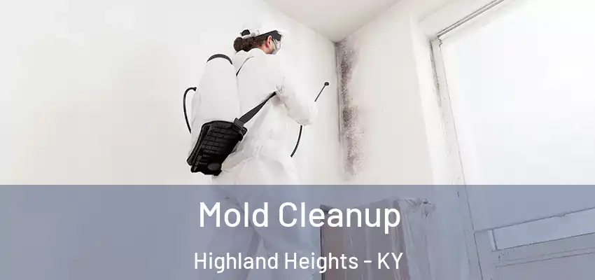Mold Cleanup Highland Heights - KY