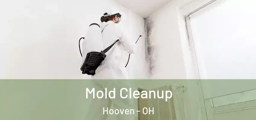 Mold Cleanup Hooven - OH