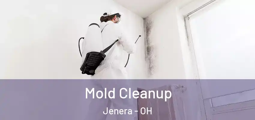 Mold Cleanup Jenera - OH