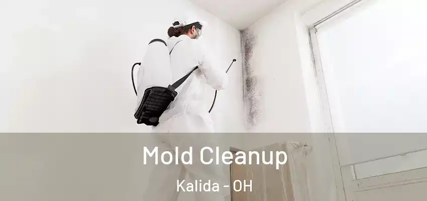 Mold Cleanup Kalida - OH
