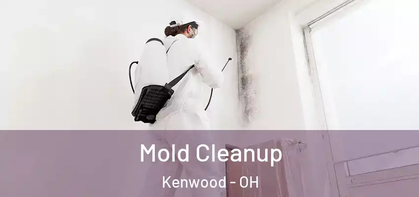 Mold Cleanup Kenwood - OH