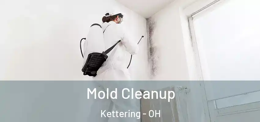 Mold Cleanup Kettering - OH