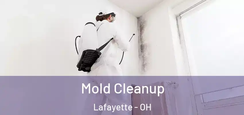 Mold Cleanup Lafayette - OH