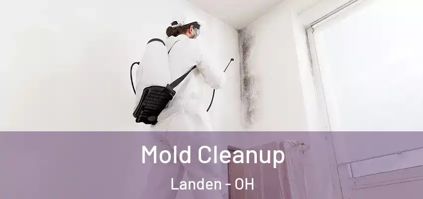  Mold Cleanup Landen - OH