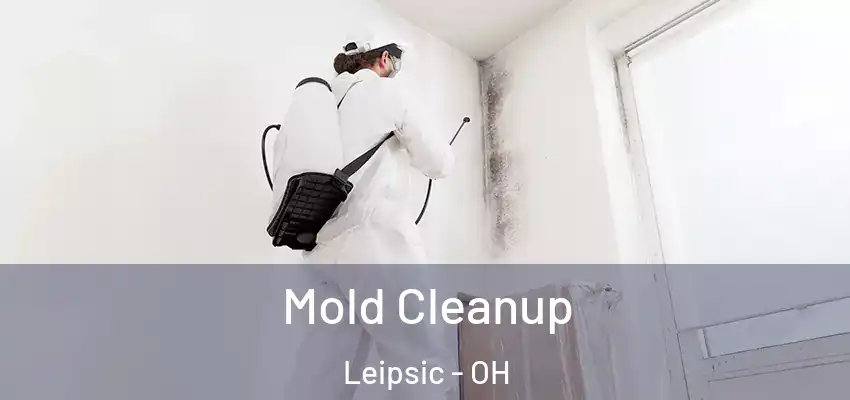 Mold Cleanup Leipsic - OH