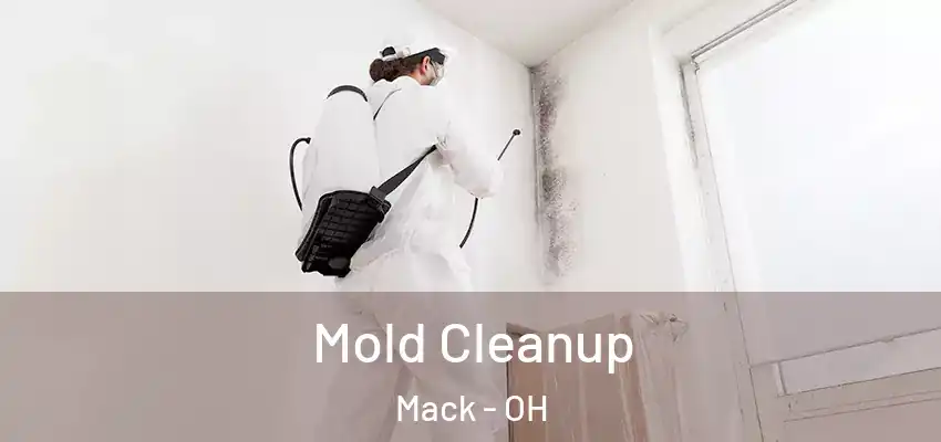 Mold Cleanup Mack - OH