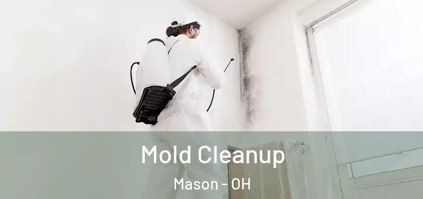  Mold Cleanup Mason - OH
