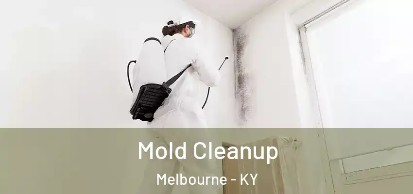  Mold Cleanup Melbourne - KY