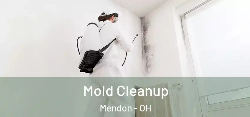 Mold Cleanup Mendon - OH