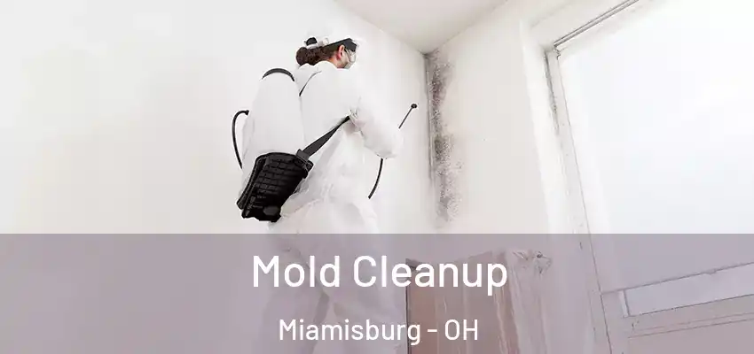 Mold Cleanup Miamisburg - OH