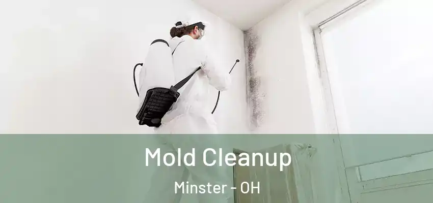 Mold Cleanup Minster - OH