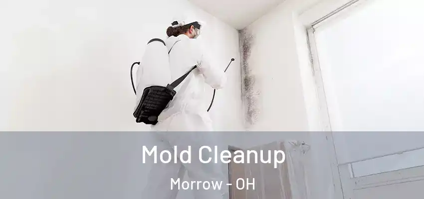 Mold Cleanup Morrow - OH