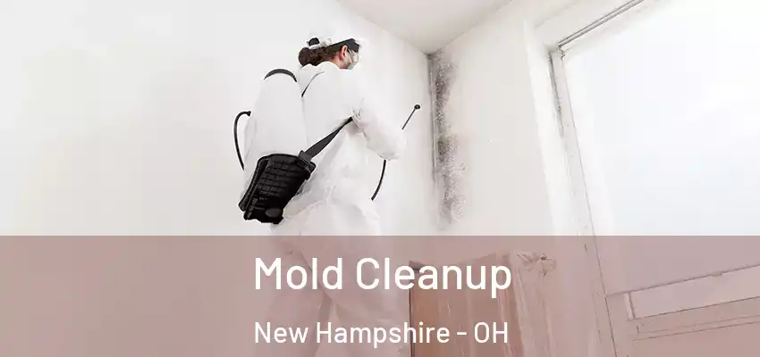  Mold Cleanup New Hampshire - OH