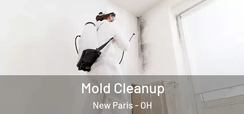  Mold Cleanup New Paris - OH