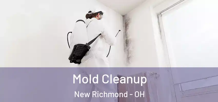 Mold Cleanup New Richmond - OH