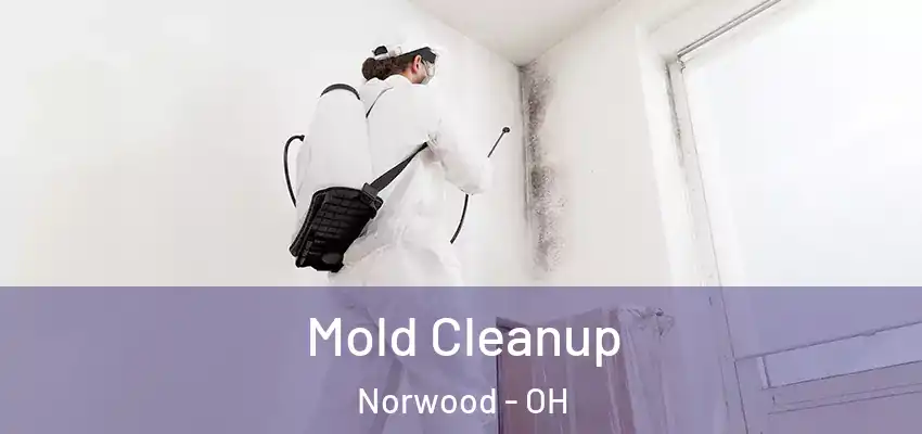  Mold Cleanup Norwood - OH
