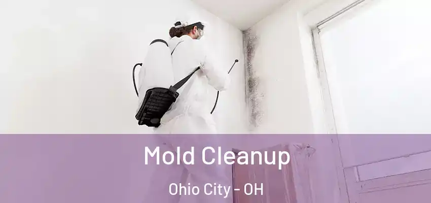 Mold Cleanup Ohio City - OH